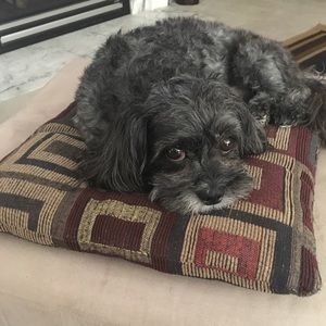 Meet your Posher, Adriana